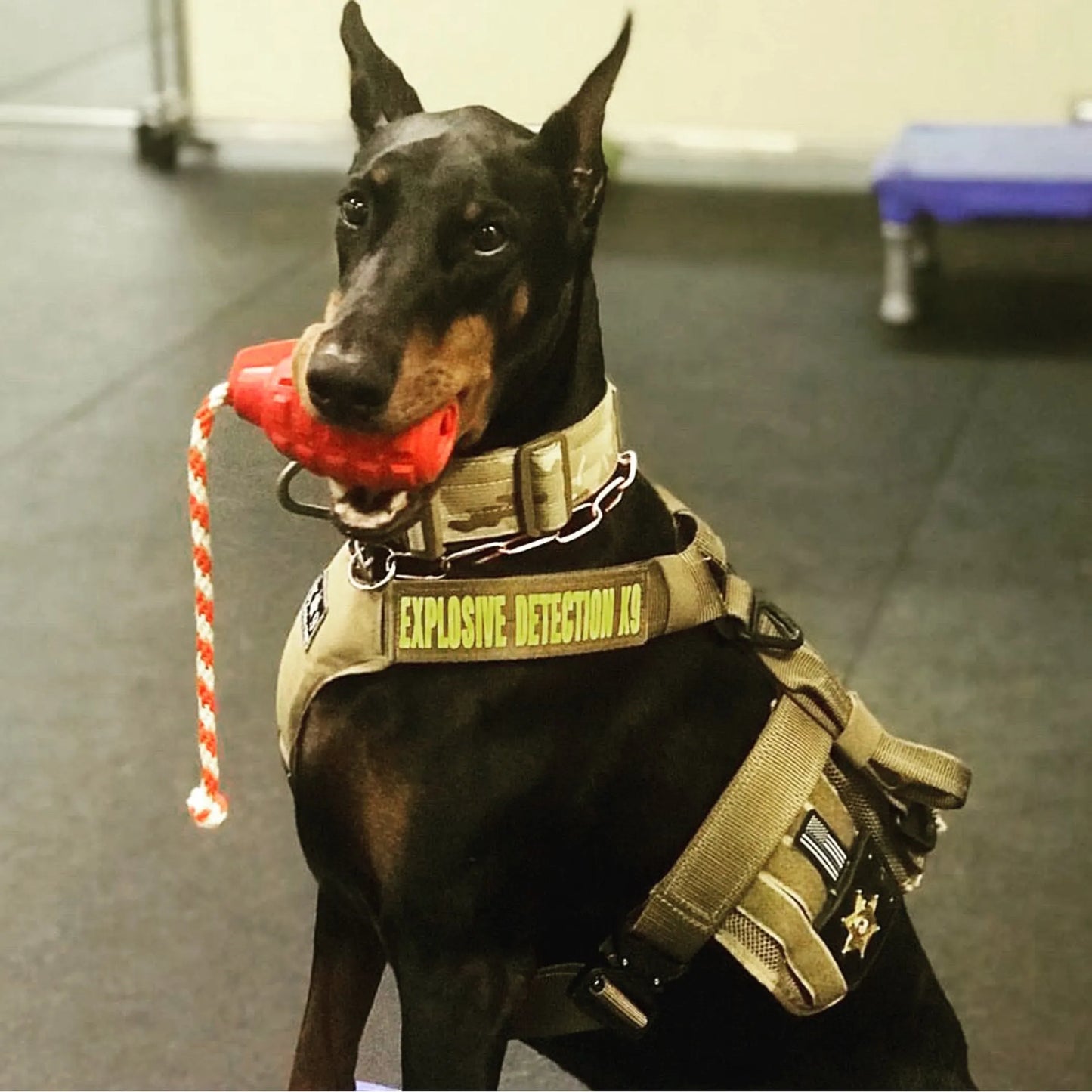 USA-K9 Magnum Grenade - Black Magnum Rubber Chew Toy