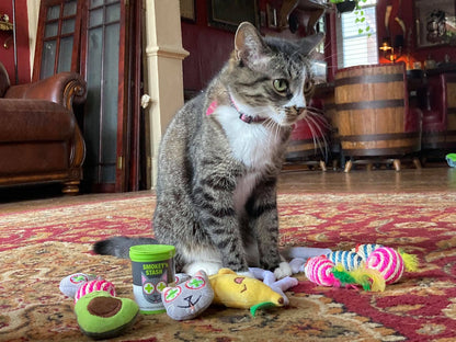Smokey's Stash Catnip Toys