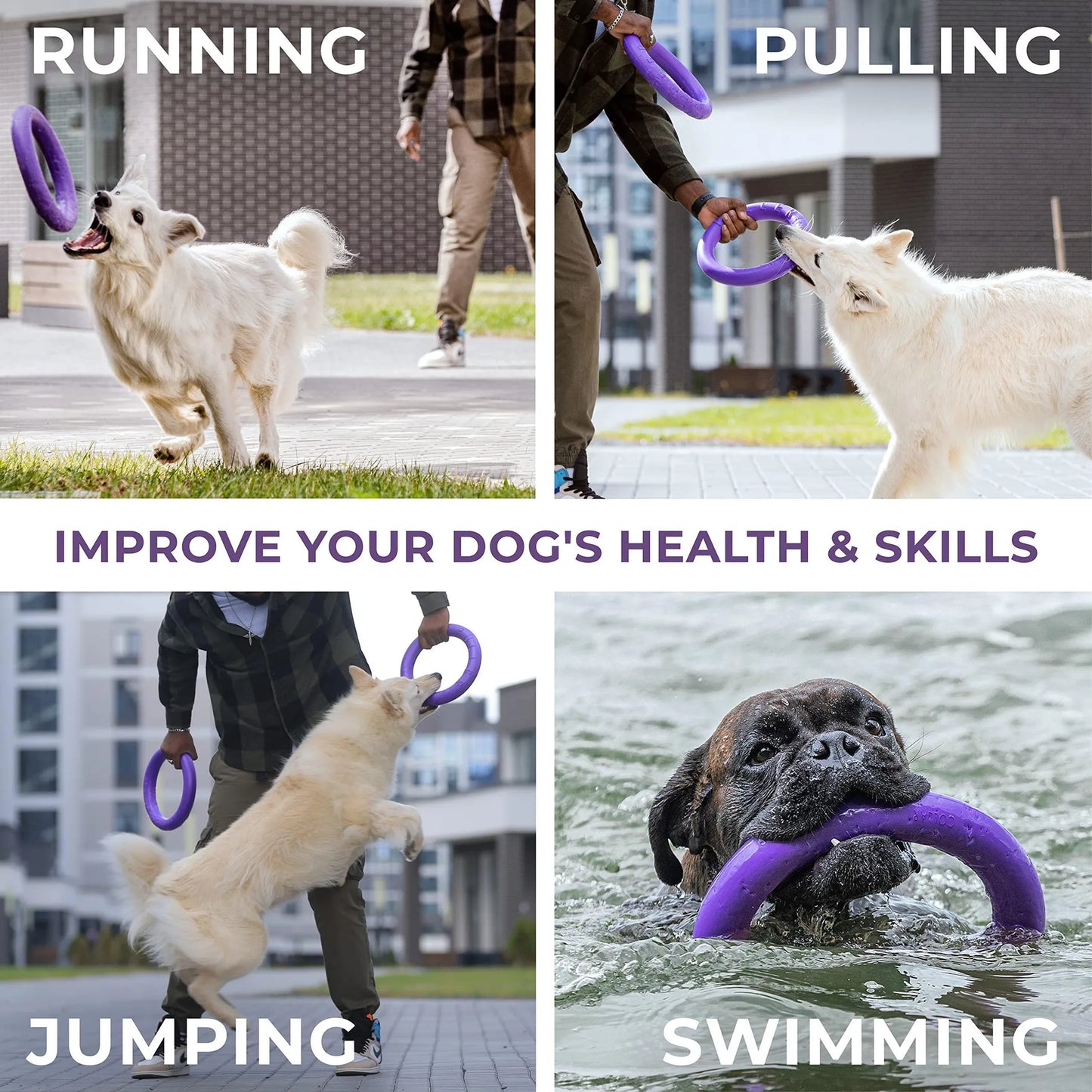 Puller Outdoor Dog Ring Toys