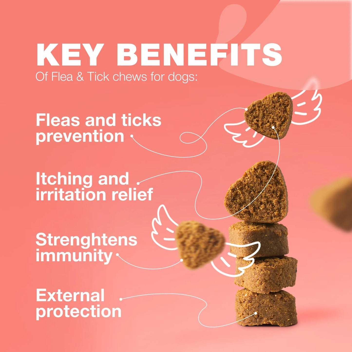 Dog Flea and Tick Treatment Chews