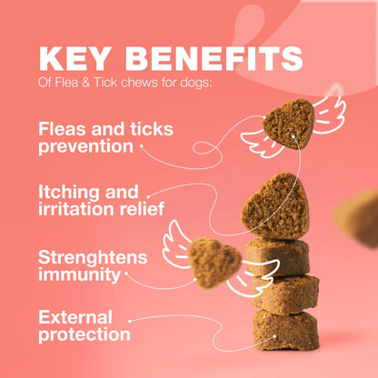 Dog Flea and Tick Treatment Chews