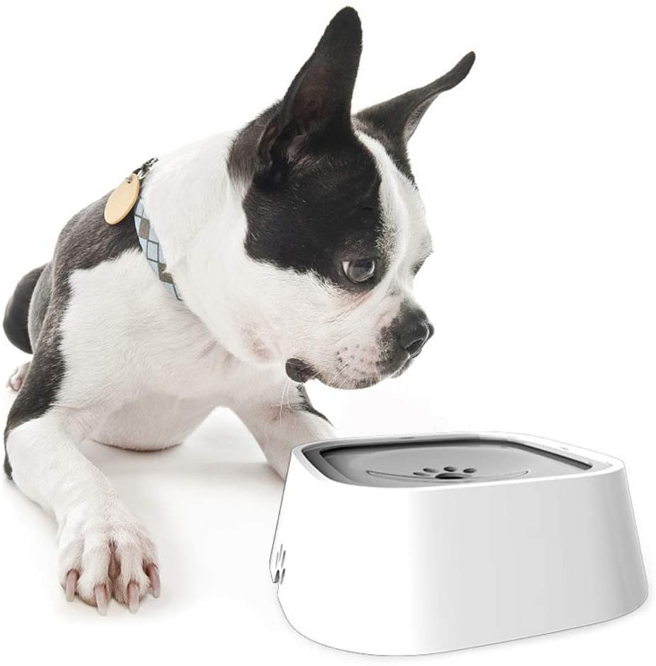 Spill-Proof Pet Travel Water Bowl by HugMyPaws