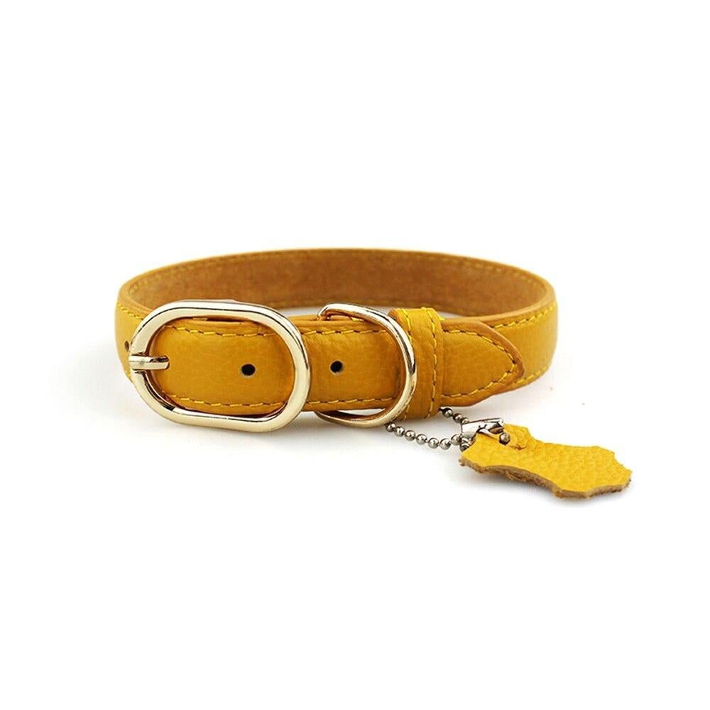 Classic Leather Dog Collar with Hangtag by HugMyPaws