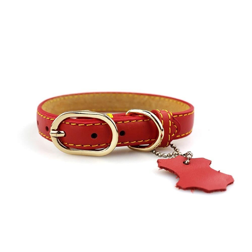 Classic Leather Dog Collar with Hangtag by HugMyPaws