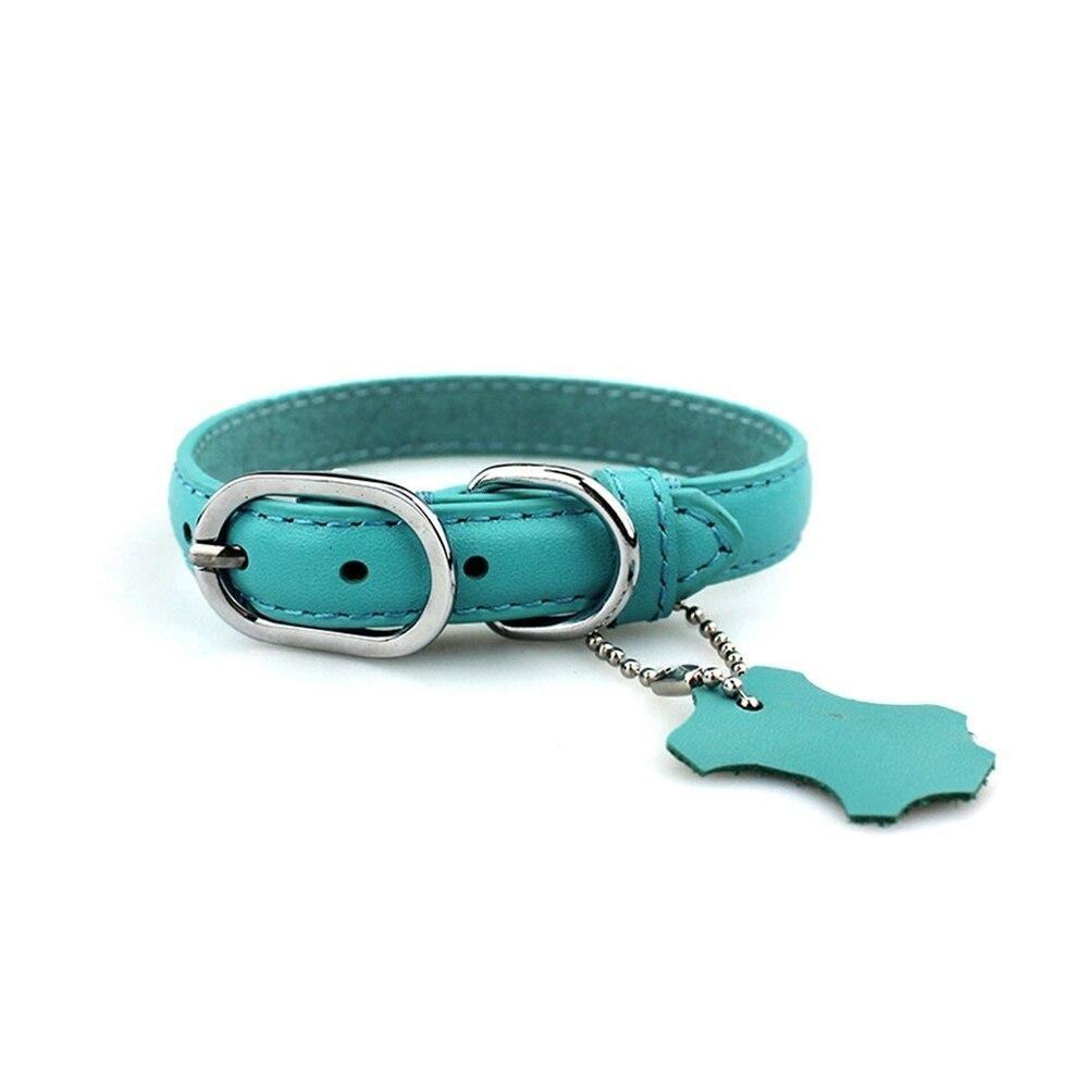 Classic Leather Dog Collar with Hangtag by HugMyPaws