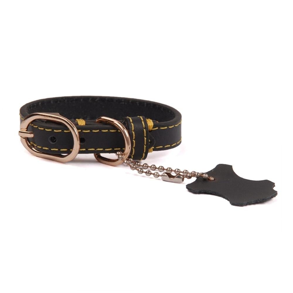 Classic Leather Dog Collar with Hangtag by HugMyPaws